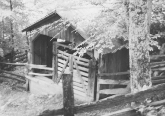 cattlestation.jpg
This is a June 1978 photo of the cattle station on Fees Ridge.
