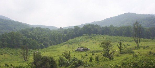 cmwr1.jpg
Located near Saltville, Virginia, off Poor Valley Road.  Photo by Jeff Weaver, summer 2003.
