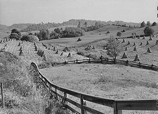 cornmarion1.jpg
This is another agricultural photograph made in 1940 from the collection of the Libraryof Congress.
