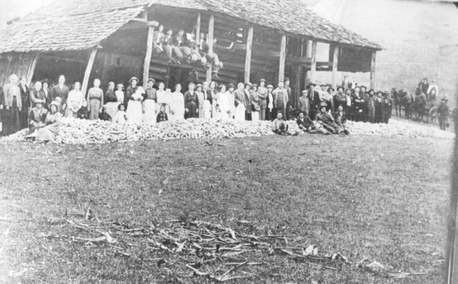 cornshucking~0.jpg
This corn shucking was photographed on the David Blevins farm at Grassy Creek ca. 1910.
