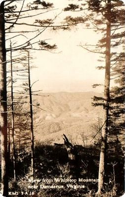 Damascus - View of Whitetop Mountain
This is a 1930s real photo view of Whitetop Mountain taken near Damascus.
