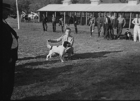 dogshow8.jpg
This is a late 1930s John Porter photo of a dog show in Saltville.
