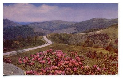 doughtonpark.jpg
From a 1950s postcard.
