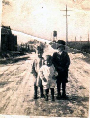 dunsibdub3.jpg
Wilson (1912), Maggie (1915), and Watts Duncan (1917), children of Perry Duncan.  This picture was taken near their home in Dublin, VA, about 1919.  It is believed that they were living on what is now "Old Rte 11", heading east out of town, along the railroad.  Courtesy of Jason Duncan [email]jmduncan@statesville.net[/email]
