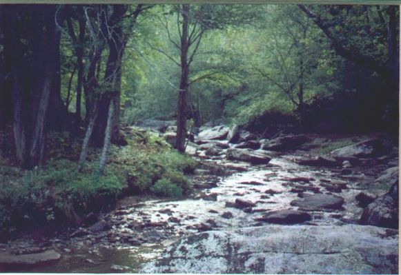 elkcreek.jpg
This photograph was made in Elk Creek by Thom Houck in the mid-1990s.
