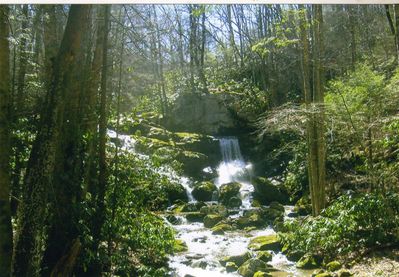 Comers Rock - Falls of Elk Creek
On Falls Road near Comer's Rock this is the upper falls of the North Fork of Elk Creek.  Photo by Jeff Weaver, March 25, 2008.
