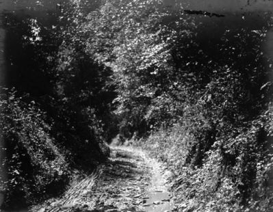 Saltville - Emory Gap Road
Emory Gap road through Walker Mountain. Abingdon quadrangle. Virginia. No date, but circa 1910.  From the U.S. Geological Survey.


