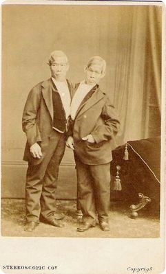 engchang.jpg
The original Siamese Twins.  From 19th century steroscope card.
