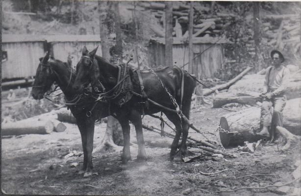 fairwoodlogs.jpg
This is Isaac Quincy Weaver (1893-1961; son of Clayborn Monroe Weaver and Martha Litisha Phipps) working at U.S. Spruce Lumber Company at Fairwood in the early 1920s.
