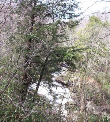 fallsoffox.jpg
Near Troutdale, taken summer 2003 by Jeff Weaver
