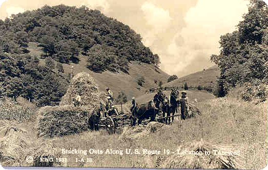 Lebanon - Farming Scene ca. 1932
This is a 1932 postcard showing men stacking oats.
