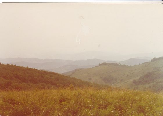 feesridge1.jpg
This is the general view from the top of Fees Ridge, Grayson County, VA.  Photo by Jeff Weaver 1978.
