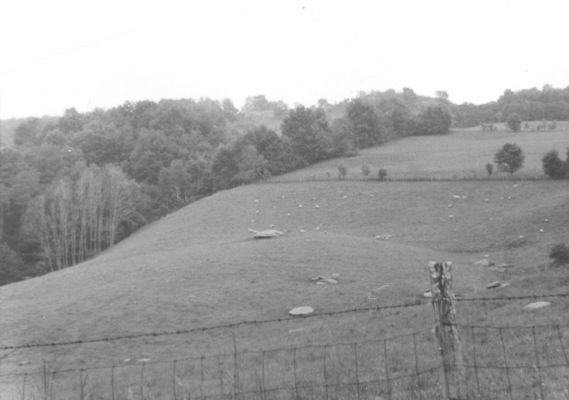 feesridgesheep.jpg
This view of Fees Ridge was taken in June 1978 by Jeff Weaver and shows sheep grazing.  This was quite common in the 19th century, but has about ended in Grayson county at present.
