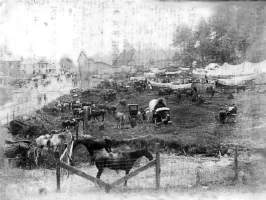 firstgalaxfair.jpg
This photo was taken at the first Galax Fair, circa 1906.
