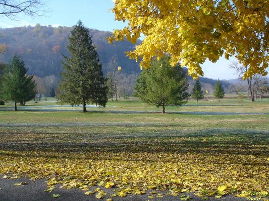 Saltville - Golf Course
MAPLE  TREE  DROPPING  LEAVES  ON  NO. 6  FAIRWAY...NO. 7  GREEN  COVERED  WITH  FROST...MILL CLIFF  DARK  AND  TOASTED...MID  NOVEMBER  IN  SALTVILLE....Courtesy of Don Smithn [email]dsmith1043@comcast.net[/email]
