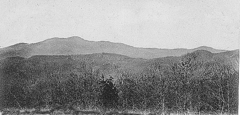 grandfather1908.jpg
This view of Grandfather Mountain from Blowing Rock is taken from a 1906 postcard.
