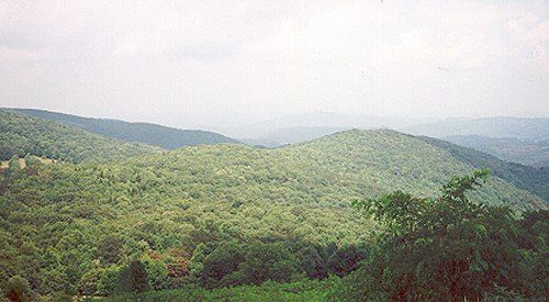 graysonhigh.jpg
Photo of one of the views from Grayson Highlands State Park.  Photo by Tracy McMillan Farmer.
