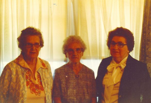 guidalantacora.jpg
This is a photo taken in Oxford, Pennsylvania in October 1979 by Jeff Weaver.  Left is Guida Sturgill Weaver; center is Lanta Sturgill Spencer; and Cora Sturgill Frazier Weaver on the right.  These ladies are daughters of James Estil Sturgill and Ella Ingram.
