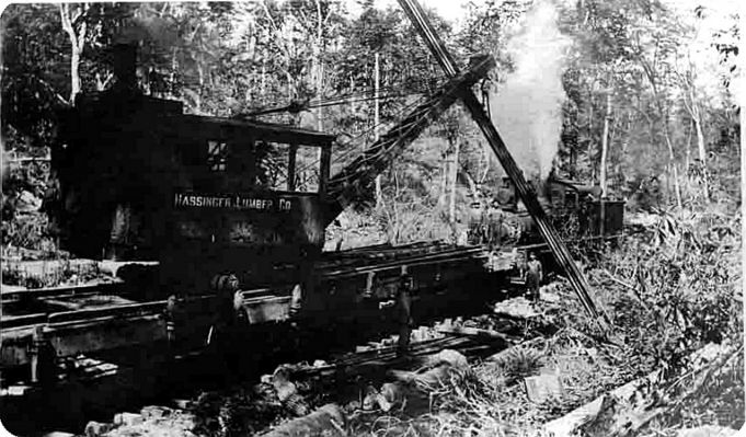 hassingertrain.jpg
This is a 1911 postcard showing one of Hassinger Lumber Company's logging trains in operation.
