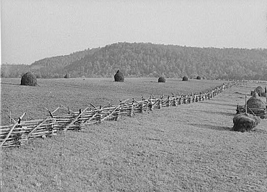 haystacksmarion.jpg
Photo from the Library of Congress collection.
