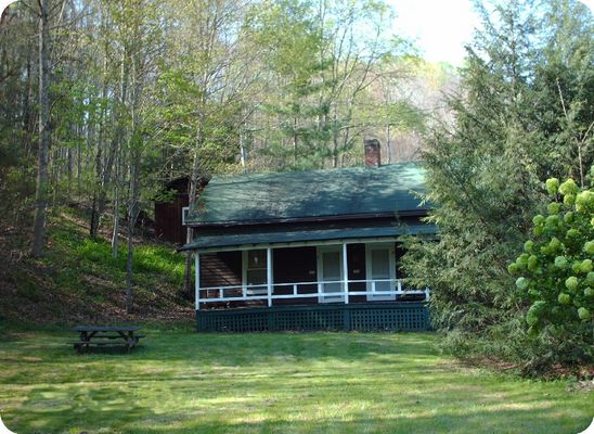 healingspgs4.jpg
And yet another of the cabins at Healing Springs.  Photo May 3, 2006 by Jeff Weaver.
