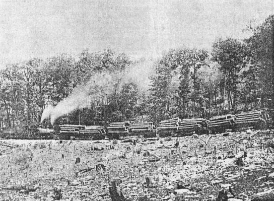 heltonlogging.jpg
This circa 1910 photo shows a heavily laden logging train taking virgin timber from the upper Helton section.
