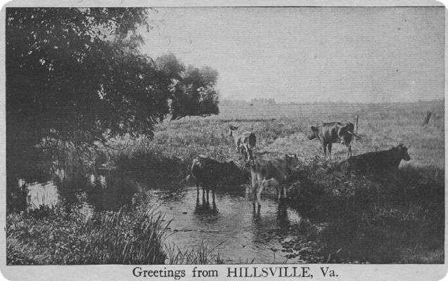 Hillsville - Farm Scene
This 1930s post card shows a cattle operation near Hillsville.
