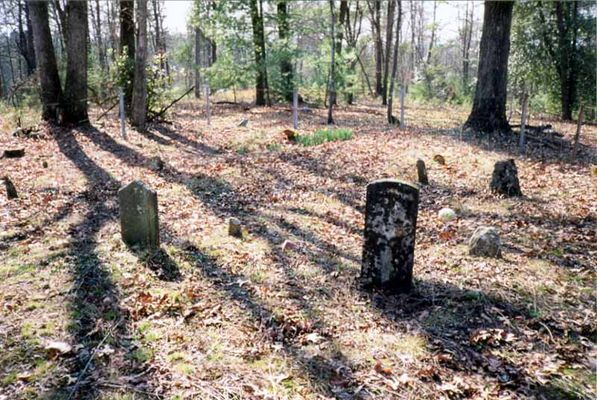 Holloway Cemetery
The Holloway Cemetery, located deep in the woods on Wiles Ridge, near Traphill.  Picture taken in 2000.  Courtesy of Jason Duncan [email]jmduncan@statesville.net[/email].

