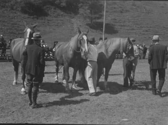 horseshow2.jpg
This is a John Porter photograph of a late 1930s horse show in Saltville.
