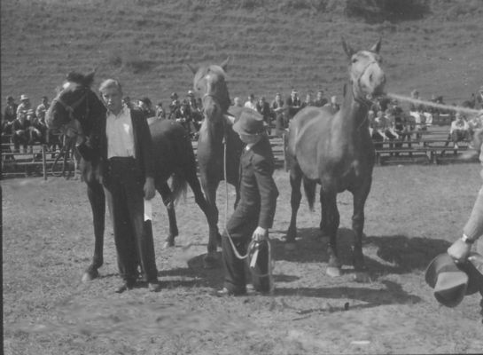 horseshow6.jpg
This 1937-38 photo by John Porter shows some of the activities at the Rich Valley fair.
