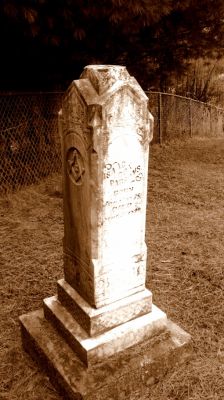 Mouth of Wilson - Potato Creek Methodist Church Cemetery
Courtesy of Misty Martin.
