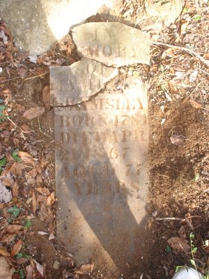 jamesgrimsleystone.jpg
This grave is in the Elisha Anderson Cemetery.  Photo November 5, 2006 by Chrissie A. Peters.
