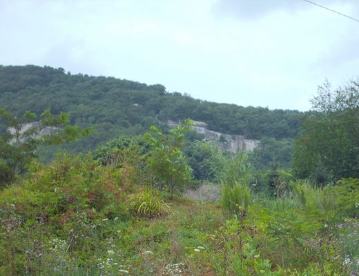 july2006pic 026.jpg
This is photo was taken July 22, 2006 by Jeff Weaver. It shows the Black Rock located on U.S.21 north of Independence.
