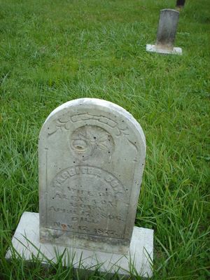 july2006pic 032.jpg
This photo was taken July 22, 2006 and shows the gravemarker for Tabitha Cox.
