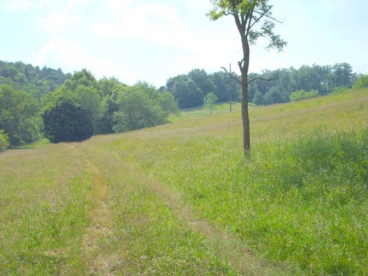 june2006pic 041.jpg
Photo by Jeff Weaver, June 10, 2006.  The site of the original cabin was probably in the midground tree line.
