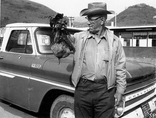 Saltville - Charlie Kestner
CHARLIE KESTNER OF BUCKEYE HOLLOW DISPLAYS HIS 5 LB. 14 OZ. TURNIP / SALTVILLE, VA. / 1970
 
SALTVILLE PROGRESS PHOTO .  Curtesy of Don Smith [email]demith1043@comcast.net[/email]


 
