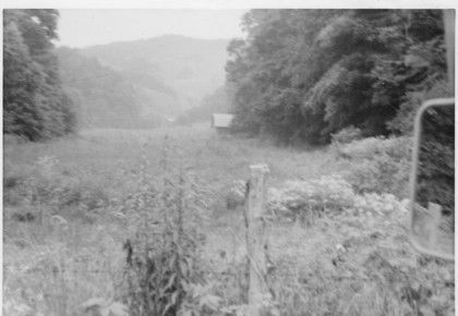 Fees Branch - Thornton KIlby's Farm
This photo taken by Jeff Weaver in July 1978 shows what was at one time Thornton Kilby's farm.  This farm, in Grayson County, abuts the Ashe county, NC line near Sturgills.
