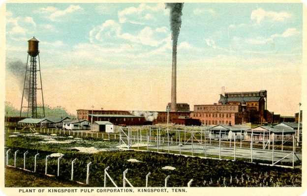 kingsportpulp~0.jpg
This is from a 1910s postcard.
