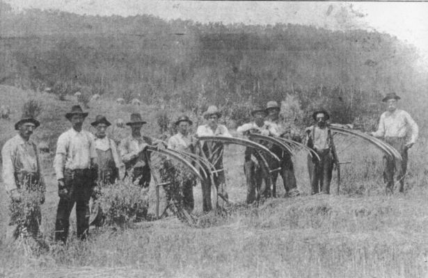 konnarockwheat.jpg
This ca. 1920s image shows a group of men cradeling wheat in Konnarock.  Two are identified on the extreme left, James Wilson Martin and next to him William Wallace Martin.  Courtesy of Pauline Haga.
