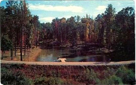 lakewoodpark.jpg
This is from a 1960s postcard.
