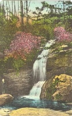 linvillefalls1910.jpg
This is a circa 1910 postcard of Linville Falls.  This [url=http://www.cs.unca.edu/nfsnc/recreation/wncwaterfalls/linvillefalls.htm]website[/url] has more information about Linville Falls.
