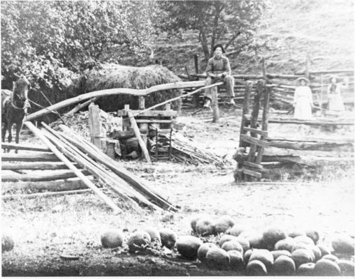 molassesjerrysmall.jpg
This circa. 1920 photo shows traditional mountain molasses making.  This photo was taken somewhere in Smyth County, VA.
Courtesy of Jerry Catron, Saltville, VA.
