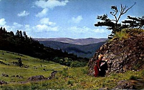 mtrogersexplorer.jpg
This photo by Greear Studios shows a child exploring the "wilds" of Mount Rogers in the 1960s.  You may explore Mount Roger's [url=http://www.runet.edu/~fldsch/RUFieldschool/fieldtrips/MountRogers/MtRogersIndex.html]Geological History[/url] at the Radford University's Virtual Field Trip website.
