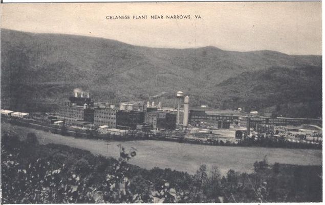 narrowsceleneseplant.jpg
This is from a mid-20th century postcard.
