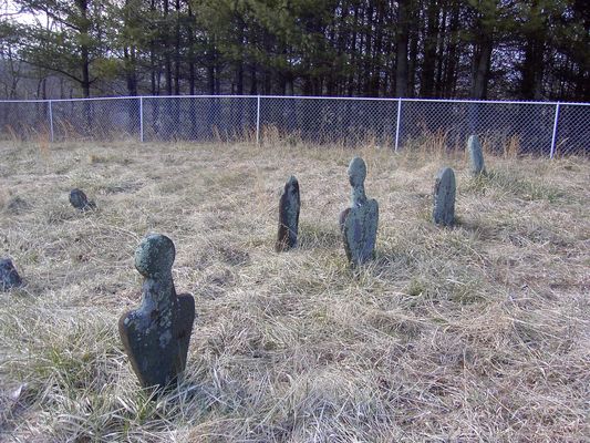 oldhigginscem.jpg
Do you know anything about the shape of cemetery stones as to when they were used if you can't read them?  I found an old Higgins Cemetery on Crab Creek Road, Alleghany Co NC and some of the old stones had odd shapes.  Some looked like a petrified slab of wood while others had shapes I had not seen before.   
Courtesy of Carol Lindamood [email]circuitrider@tcia.net[/email]
