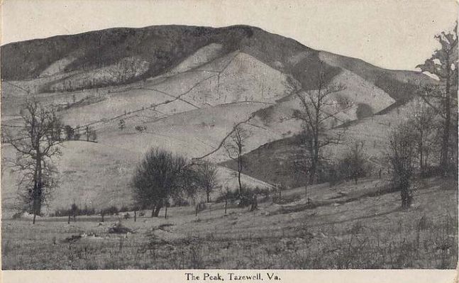 peaktazewell.jpg
This is a 1909 postcard.
