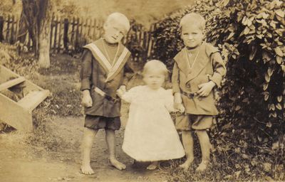 Perkins, Harry, Maud and Herbert
Here is Harry, Maud and Herbert Perkins, children of Gordon and Kate Jones Perkins.  Courtesy of Cathy Bell [email]cjbell47@goldenwesy.net[/email]

