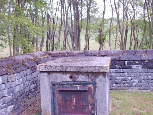 pic 055.jpg
An example of an above ground grave in Aspenvale cemetery.  Photo by Jeff Weaver.
