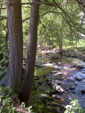 Troutdale - Fox Creek
Photo June 6, 2007 by Jeff Weaver
