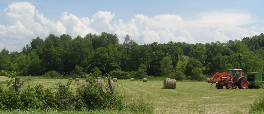 Gold Hill - Making Hay
Another shot of hay operations at Gold Hill.  Cattle raising is still an important agricultural pursuit in the New River valley. Photo by Jeff Weaver, June 8, 2007.
